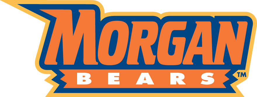 Morgan State Bears 2002-Pres Wordmark Logo v3 iron on transfers for T-shirts